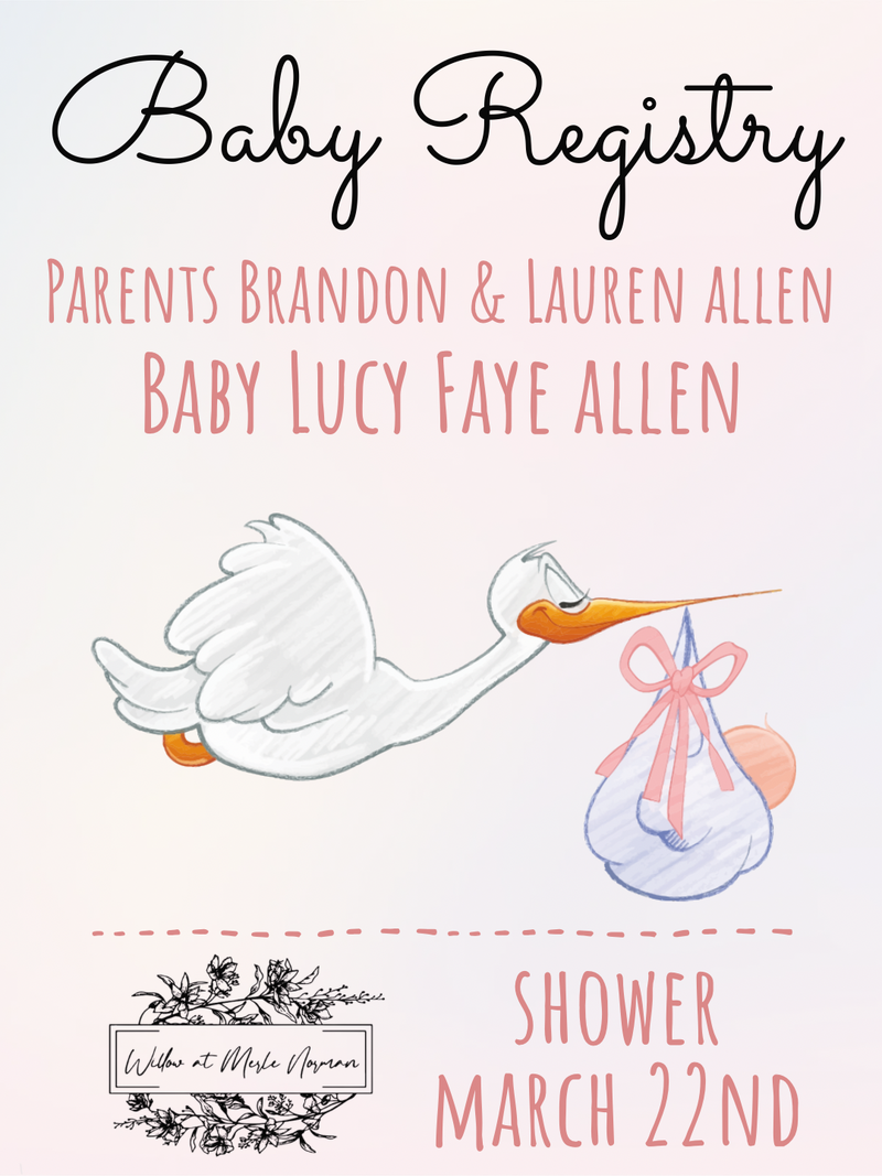 Baby Registry - Brandon & Lauren Allen
