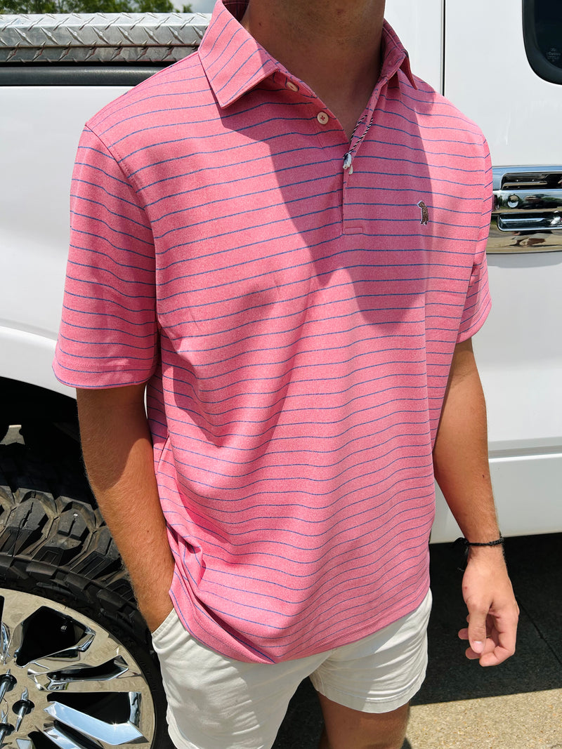 Men's Polos