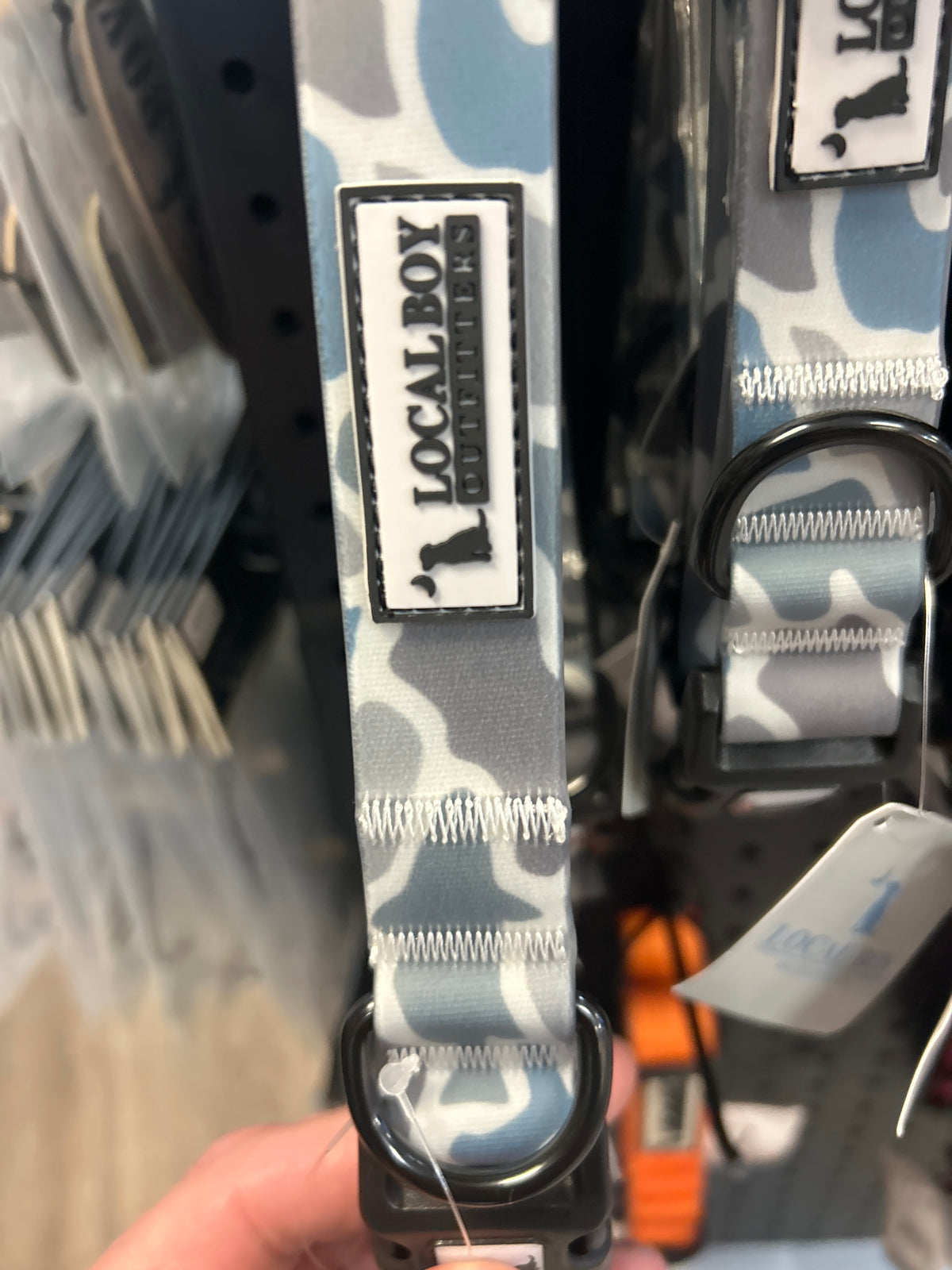 Local Boy-Dog Collar