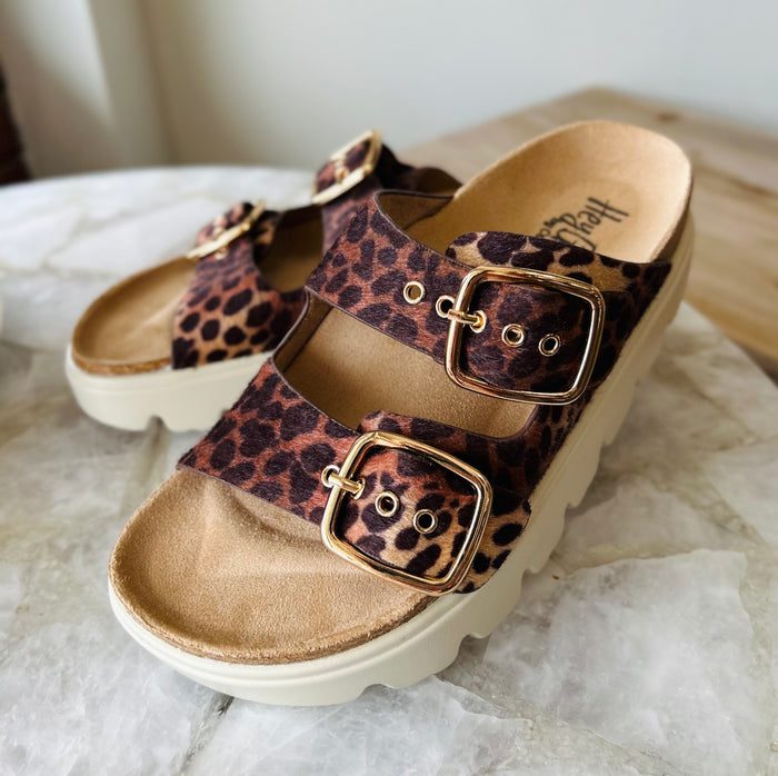 Corkys Rumor Has It- Leopard 2