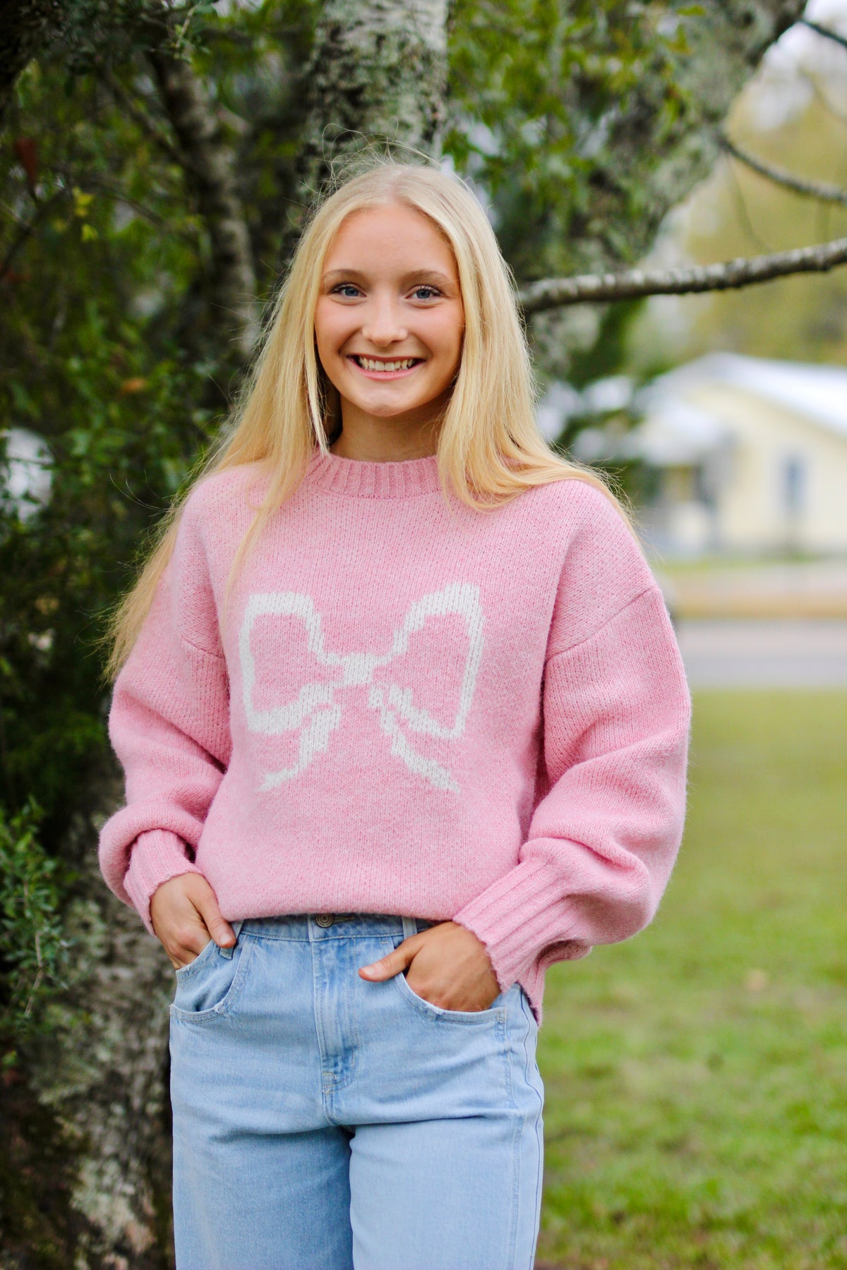 Bow Graphic Crew Neck Knit Sweatshirt