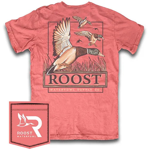 ROOST-YOUTH  Roost Mallard Pitching