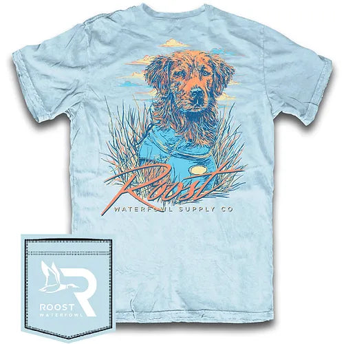 ROOST-YOUTH  Retriever