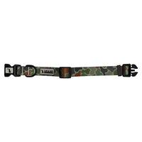Local Boy-Dog Collar