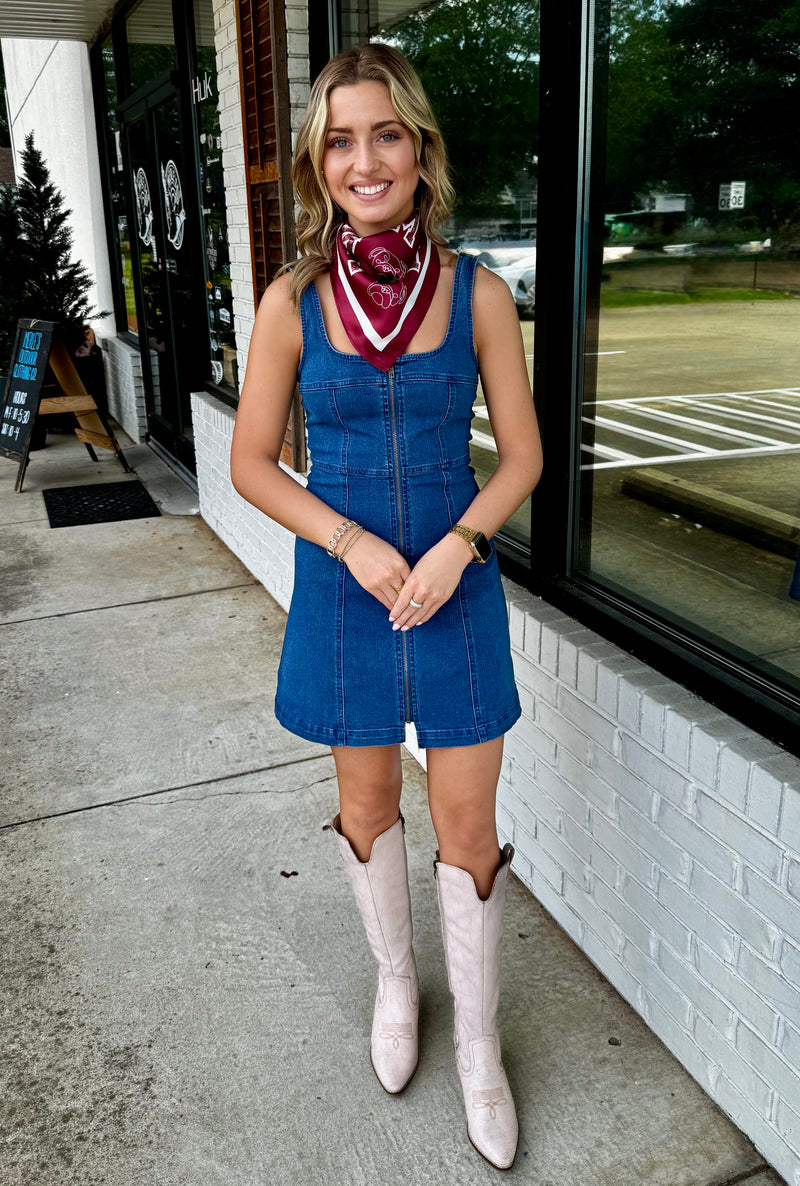 Denim Zip Up Sleeveless Mini Dress