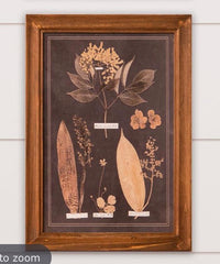 AUDREY’s FRAMED PRINTS - LEAF BOTANY