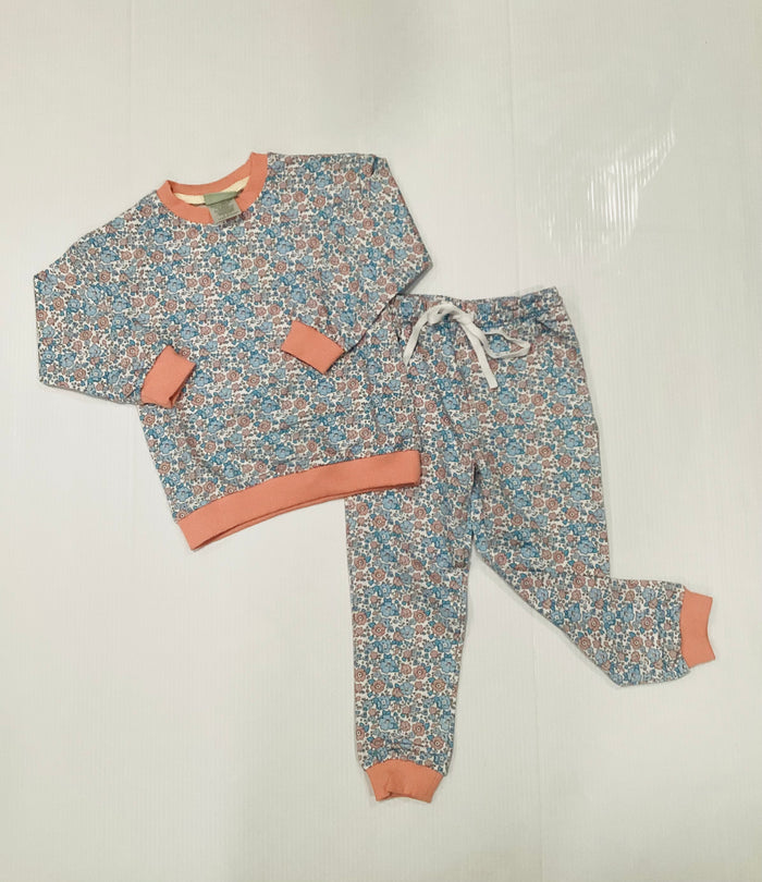 Sage & Lilly Pink / Blue Jogger Set