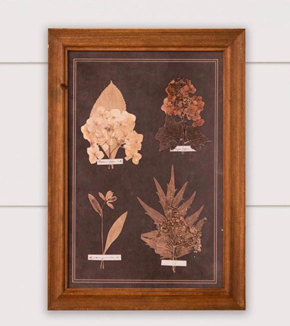 AUDREY’s FRAMED PRINTS - LEAF BOTANY