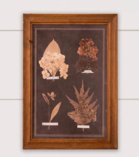 AUDREY’s FRAMED PRINTS - LEAF BOTANY