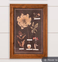 AUDREY’s FRAMED PRINTS - LEAF BOTANY