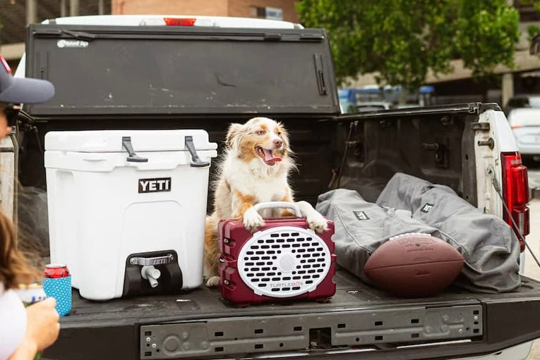 TURTLEBOX GEN 3 GAMEDAY SPEAKER