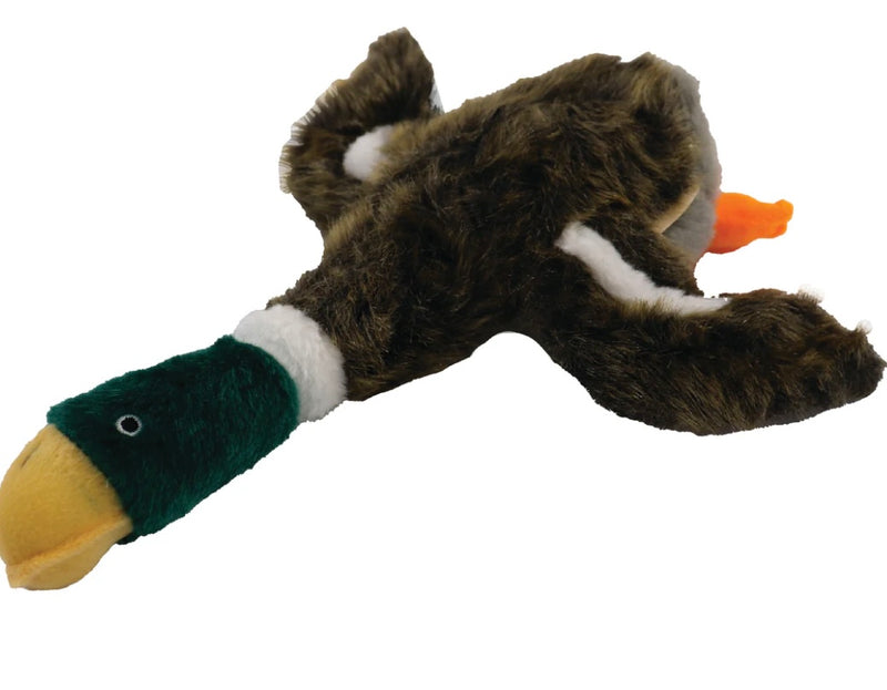 Local Boy-Duck Toy