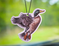 Scent South Air Freshener