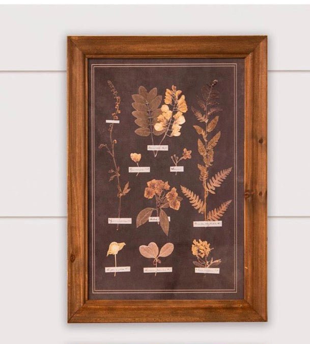 AUDREY’s FRAMED PRINTS - LEAF BOTANY