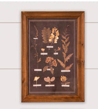 AUDREY’s FRAMED PRINTS - LEAF BOTANY