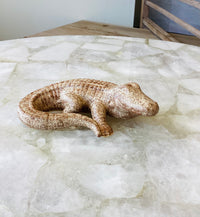 SonShine Pottery Small Alligator Nutmeg