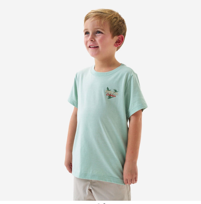 Burlebo-Boy’s Tee - field companion -Heather sage