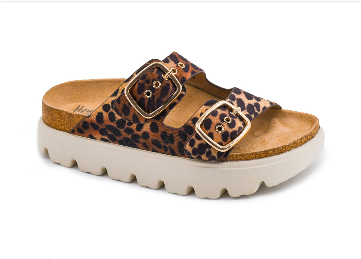 Corkys Rumor Has It- Leopard 2