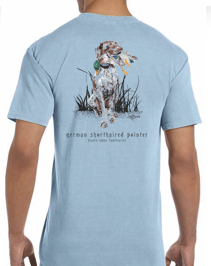 Phinz - German Short-Haired Pointer on Ice Blue