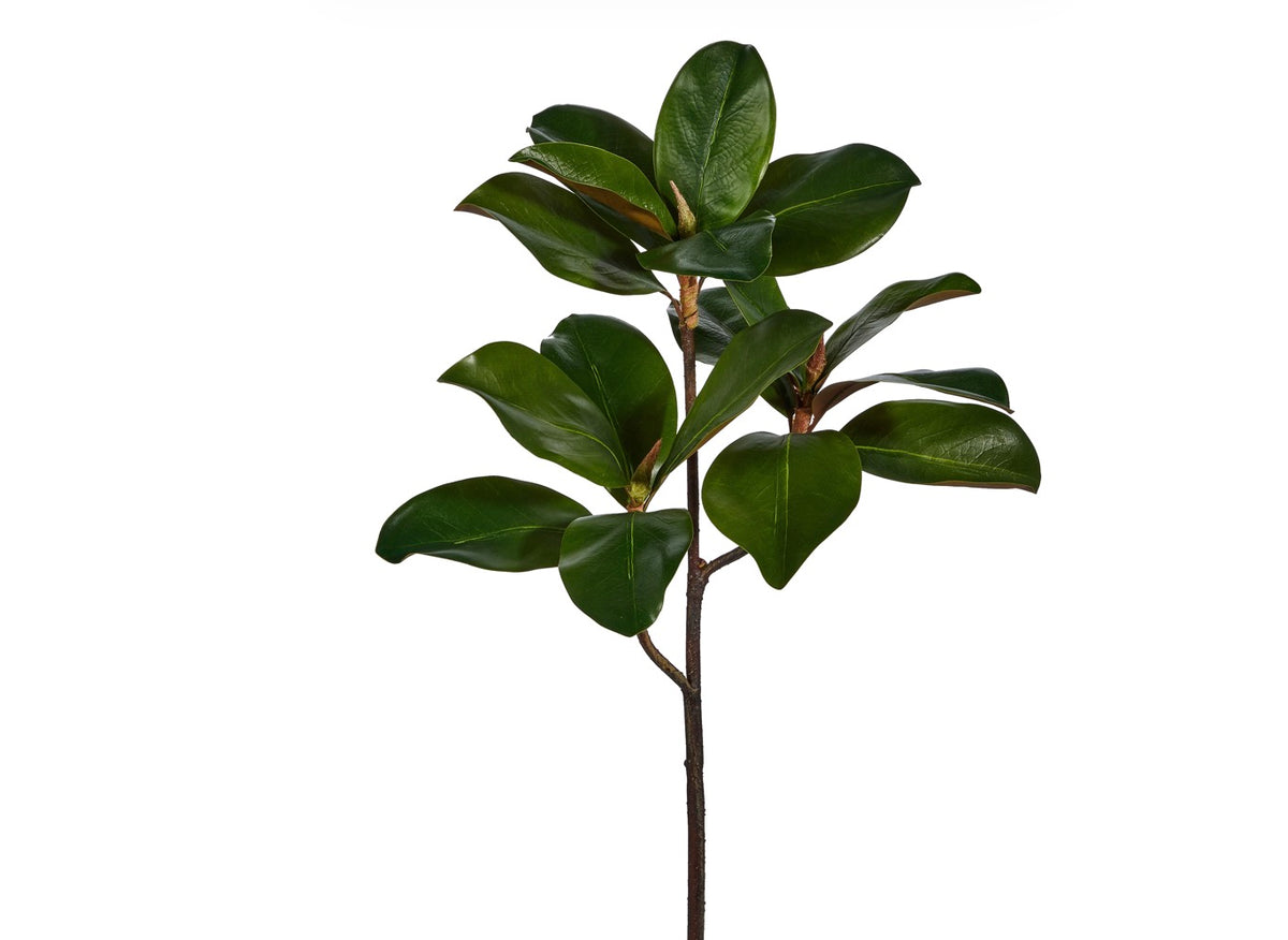 Raz 24" Magnolia Leaf Branch