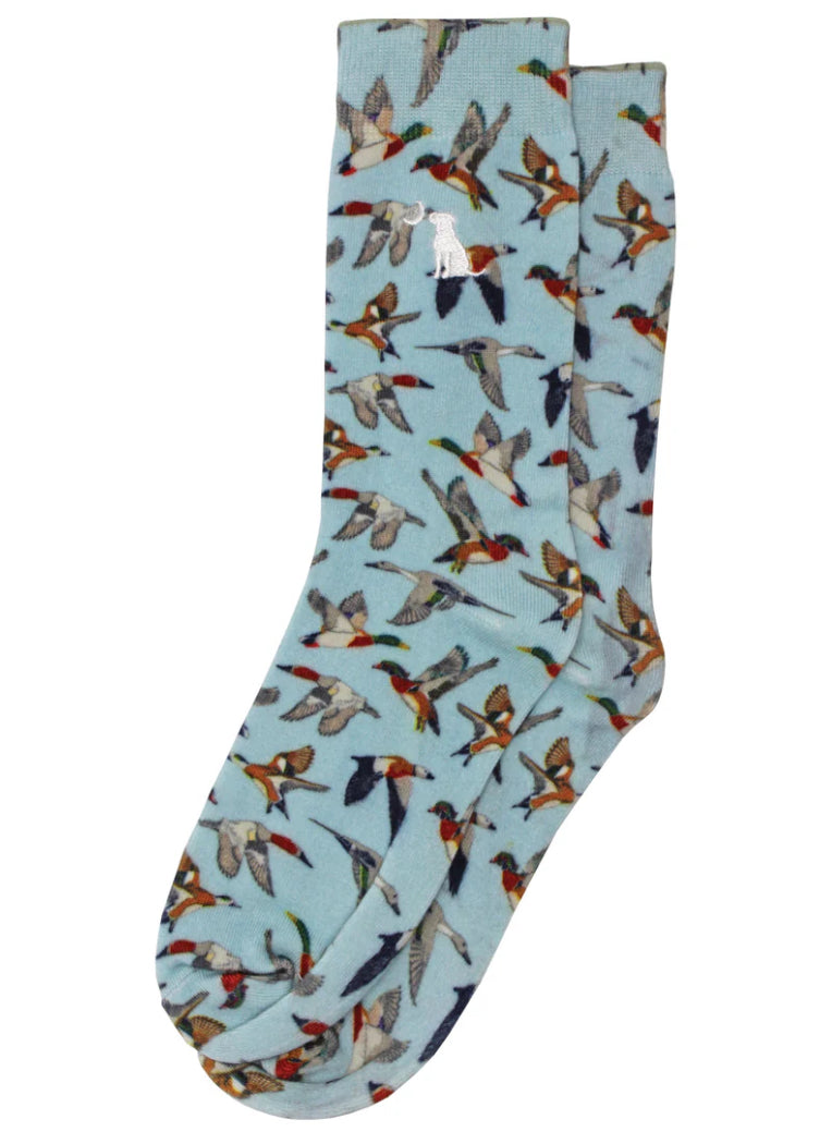 Local Boy - Ducks Socks