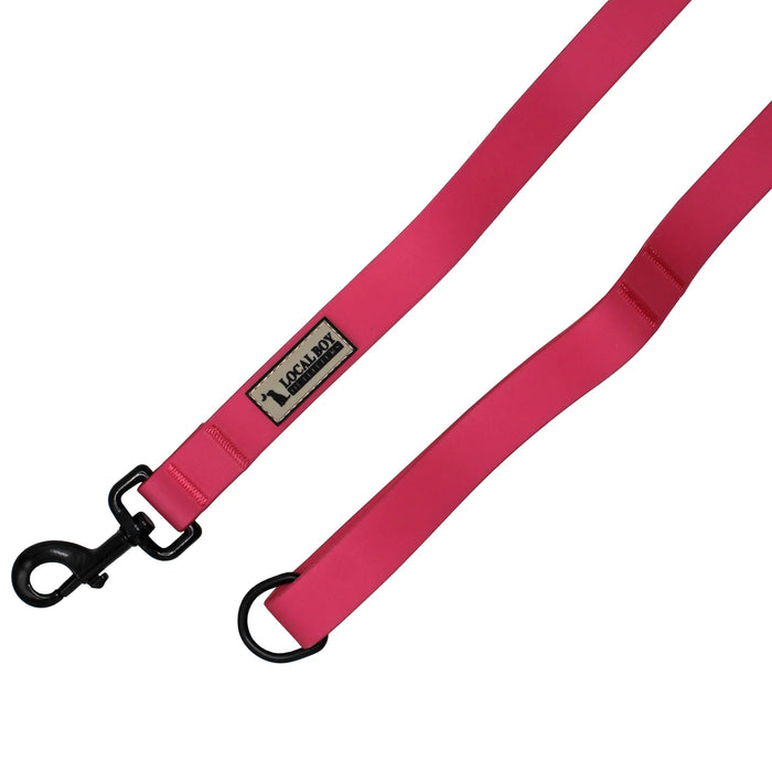 Local Boy-Dog Leash