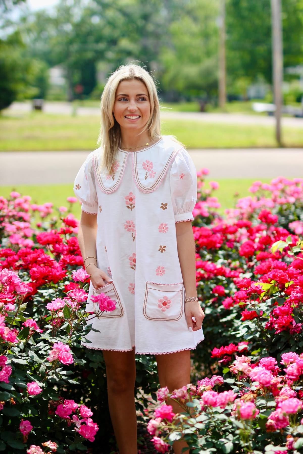 Embroidered Peter Pan Collar Mini Dress