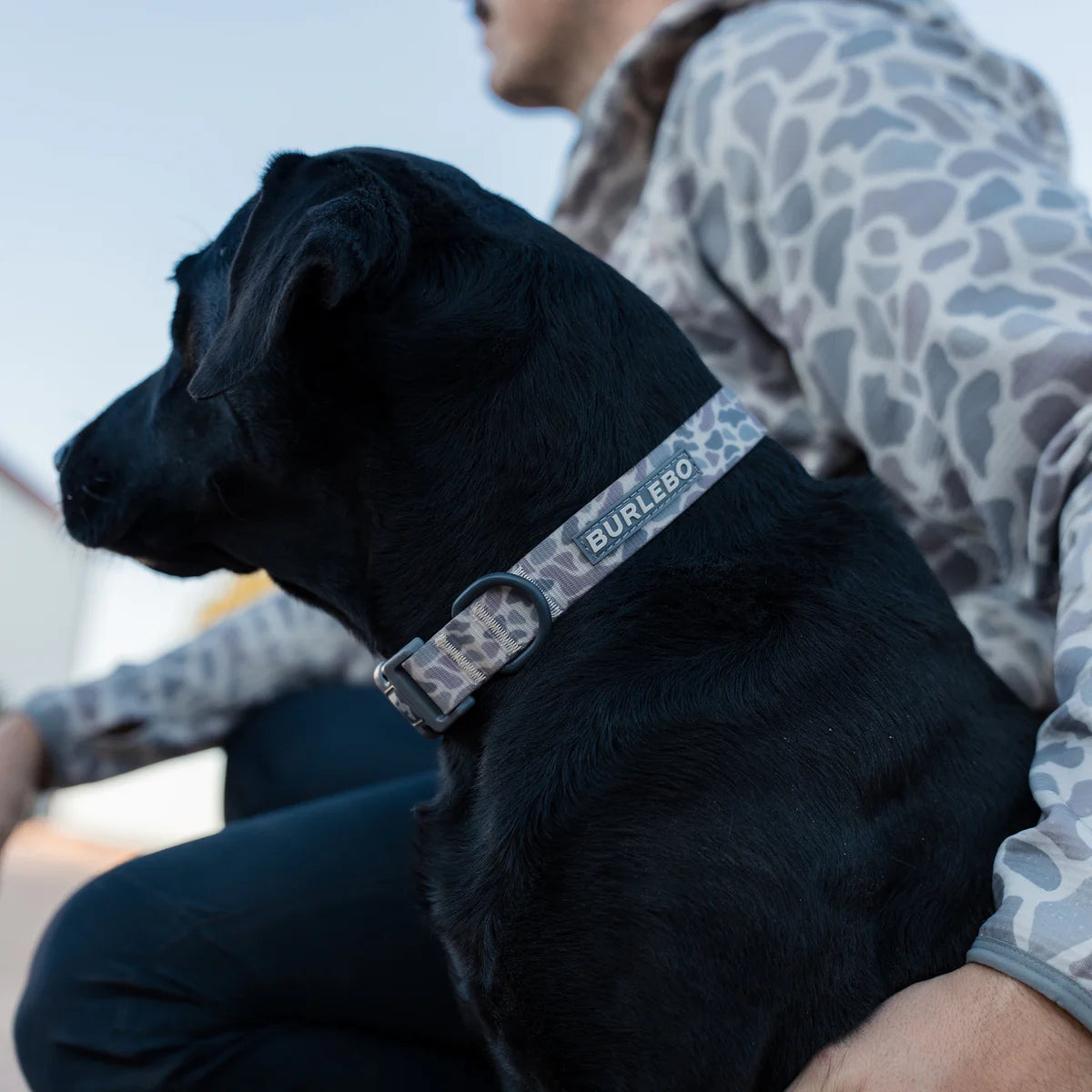 Burlebo-Dog Collar