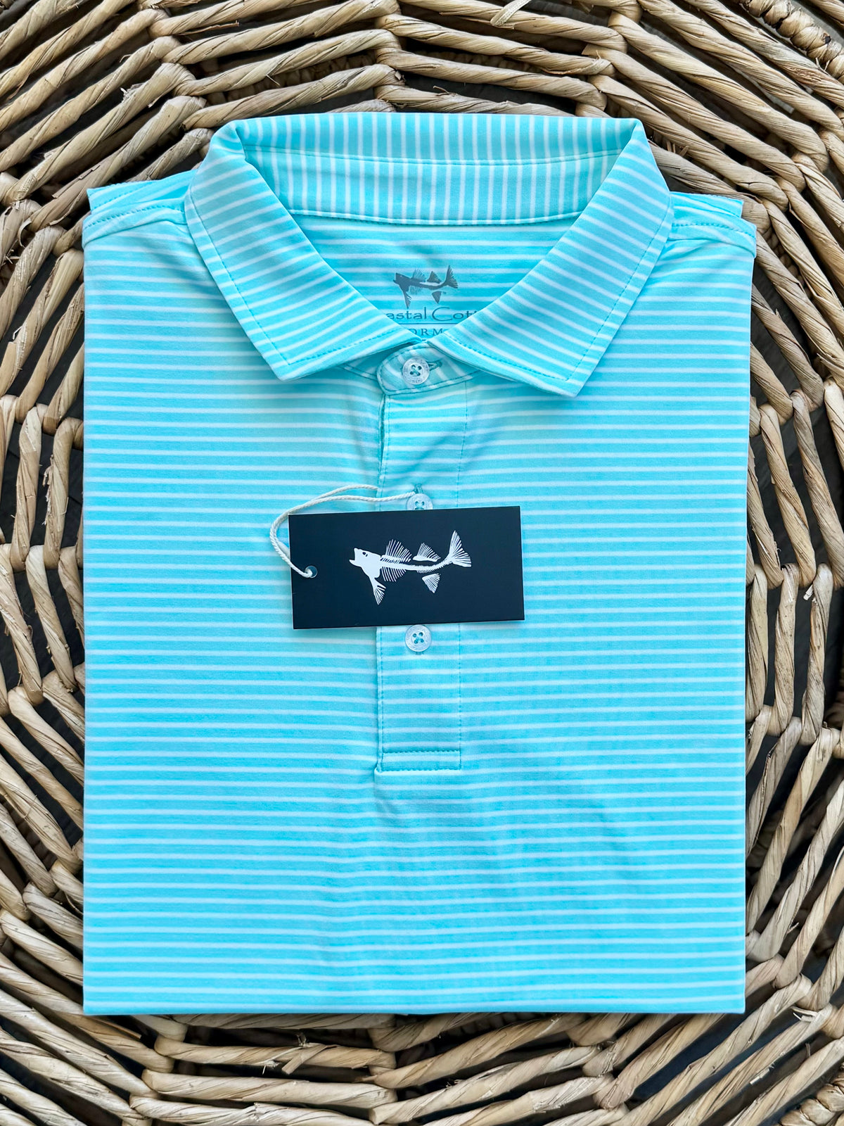 Coastal Cotton Seafoam wide Stripe Polo