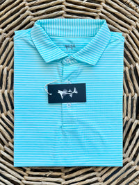 Coastal Cotton Seafoam wide Stripe Polo