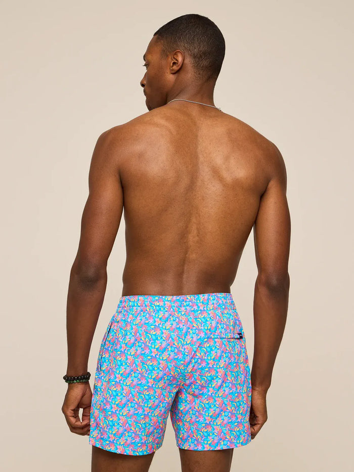 Chubbies The Spades 5.5" (Classic Lined Swim Trunk)