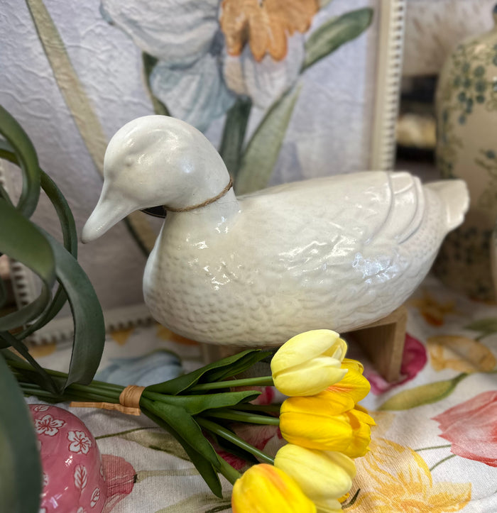 Sonshine Pottery White Duck