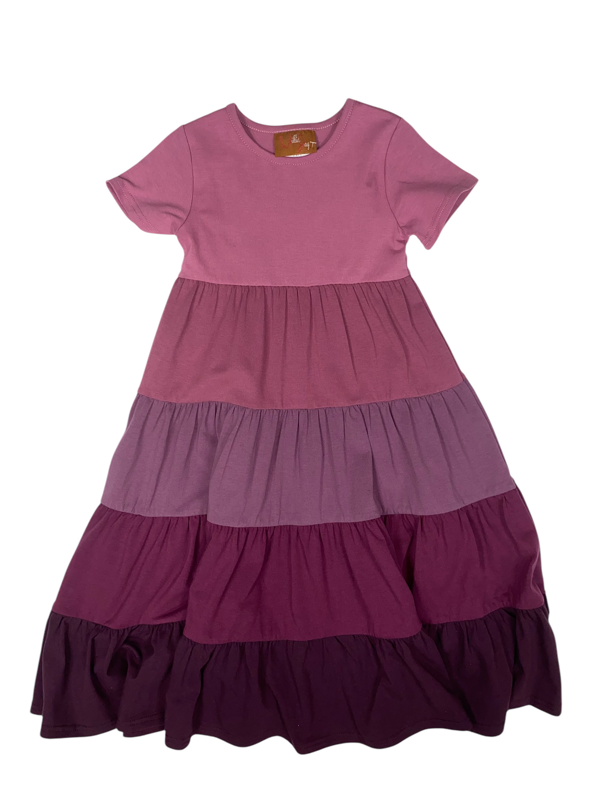 Millie Jay Plum Colorblock Maxi Dress