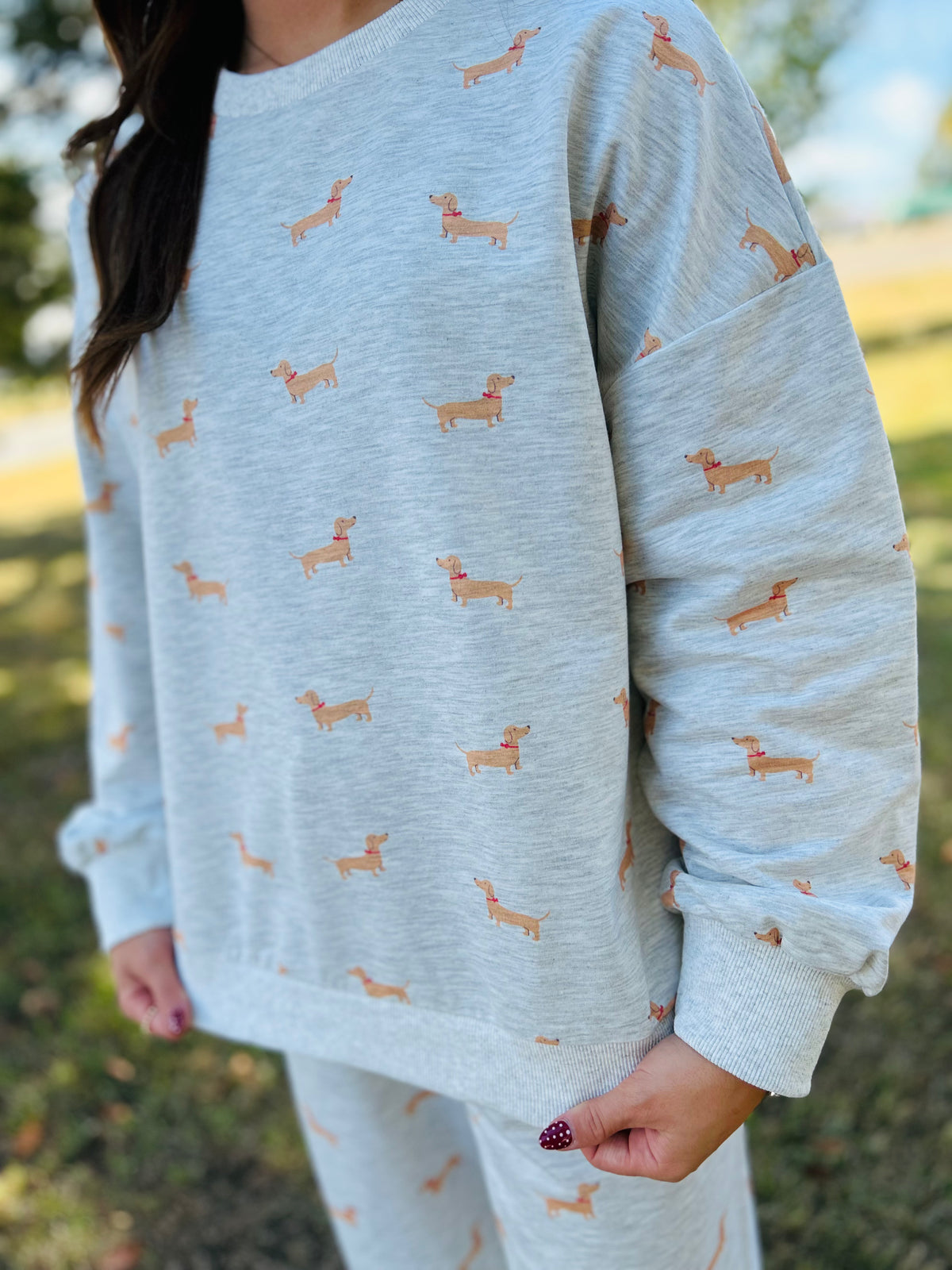 Dachshund Print Sweatshirt & Wide Leg Pants Set