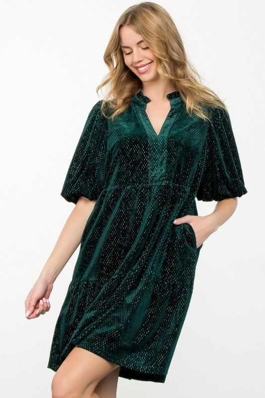Puff Sleeve Velvet Dress
