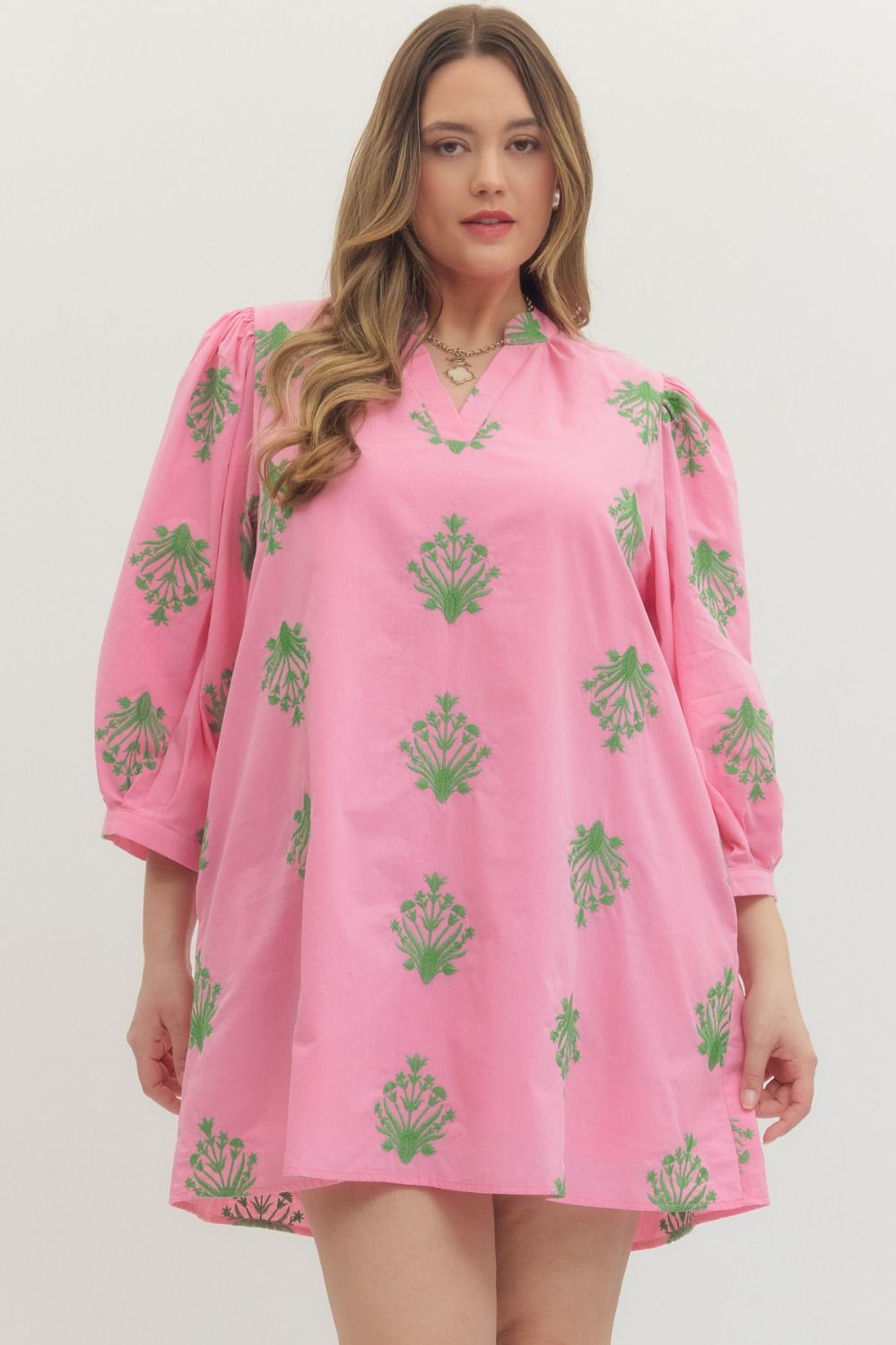 Embroidered 3/4 puff sleeve mini dress featuring V-neck