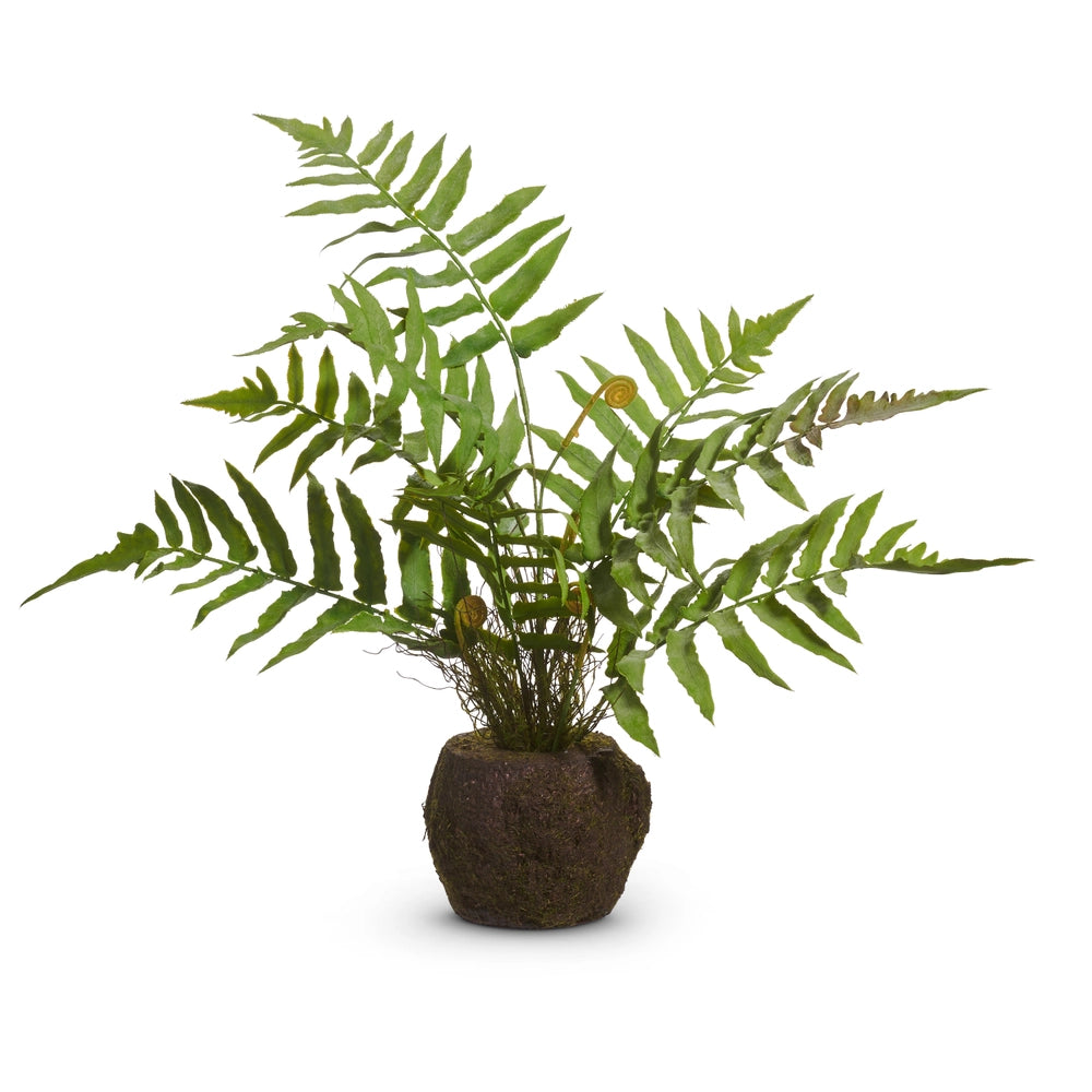 Raz 18" Fern Moss Drop In