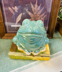 Sonshine Pottery Green  Frog