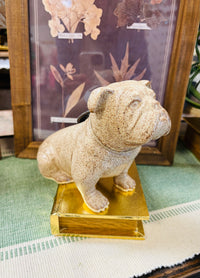 Sonshine Pottery Brown Bulldog