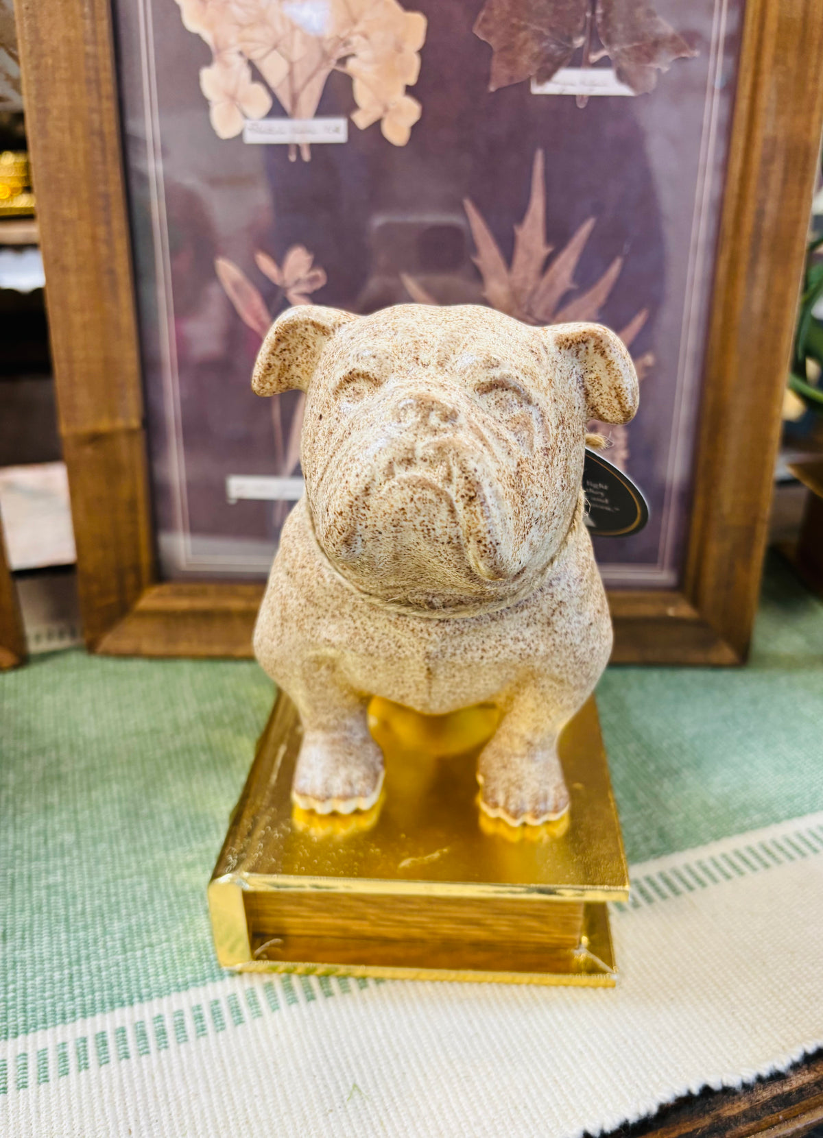 Sonshine Pottery Brown Bulldog