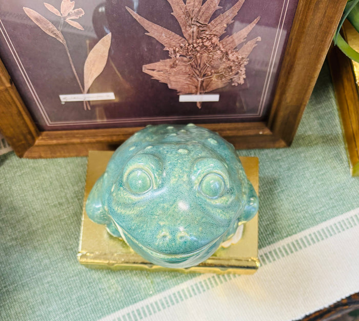 Sonshine Pottery Green  Frog