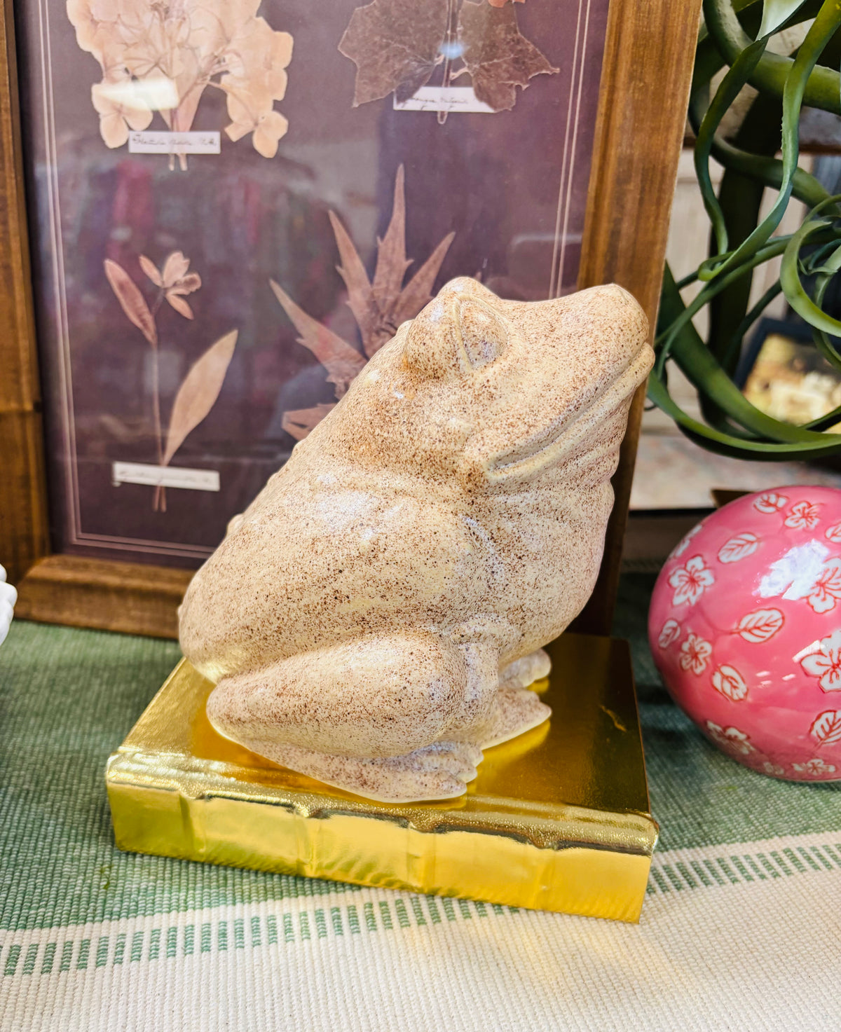 Sonshine Pottery Brown Frog