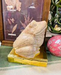 Sonshine Pottery Brown Frog