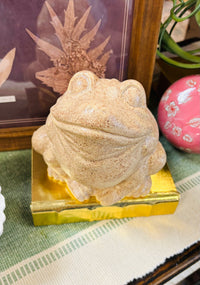 Sonshine Pottery Brown Frog