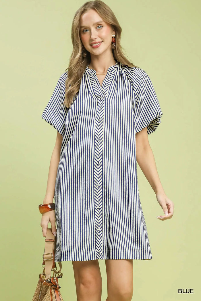 Vertical Stripe Shift Dress