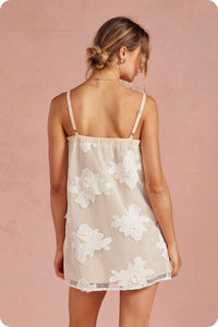 Embroidery Floral Mesh Mini Dress