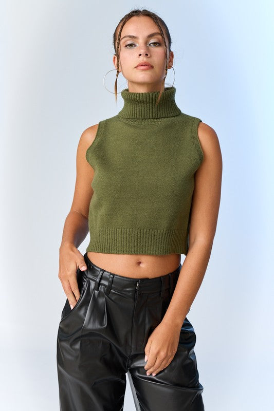 Alice Turtle Neck Knit Top