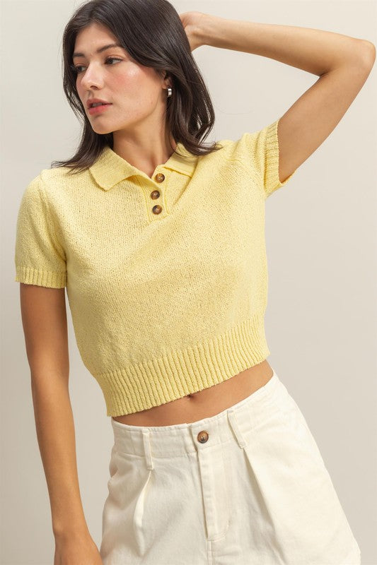 Knitted Polo Short Sleeves Top – Willow at Merle Norman