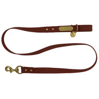 Local Boy-Dog Leash